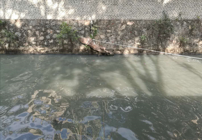 順德灝景灣河涌水質(zhì)應急處理治理