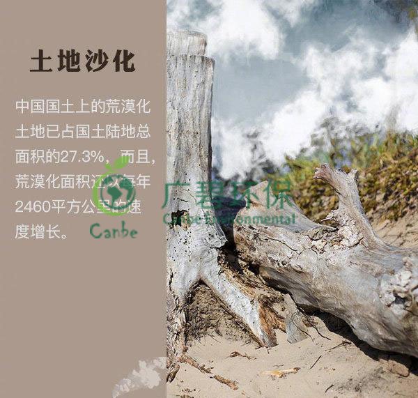 世界地球日 我們能為地球做些什么？(圖4)