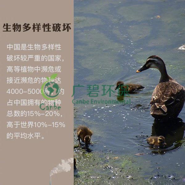 世界地球日 我們能為地球做些什么？(圖6)