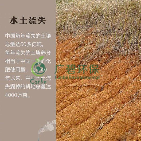 世界地球日 我們能為地球做些什么？(圖7)