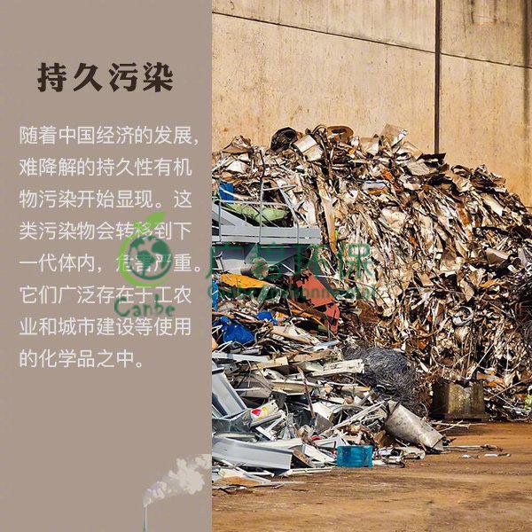 世界地球日 我們能為地球做些什么？(圖8)
