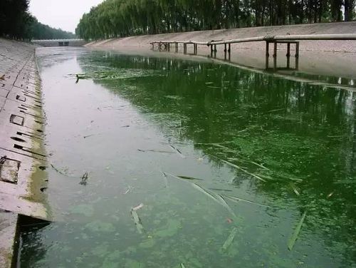 城市黑臭河道如何治理？河道黑臭水體治理思路(圖1)