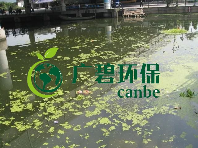 城市黑臭河道如何治理？河道黑臭水體治理思路(圖3)