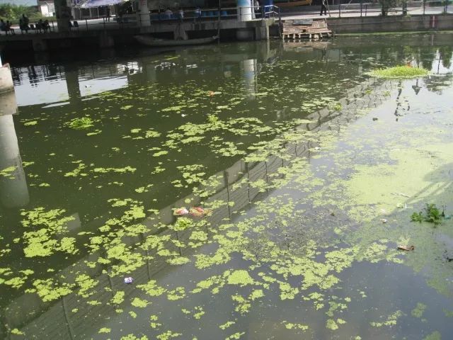 城市黑臭河道如何治理？河道黑臭水體治理思路