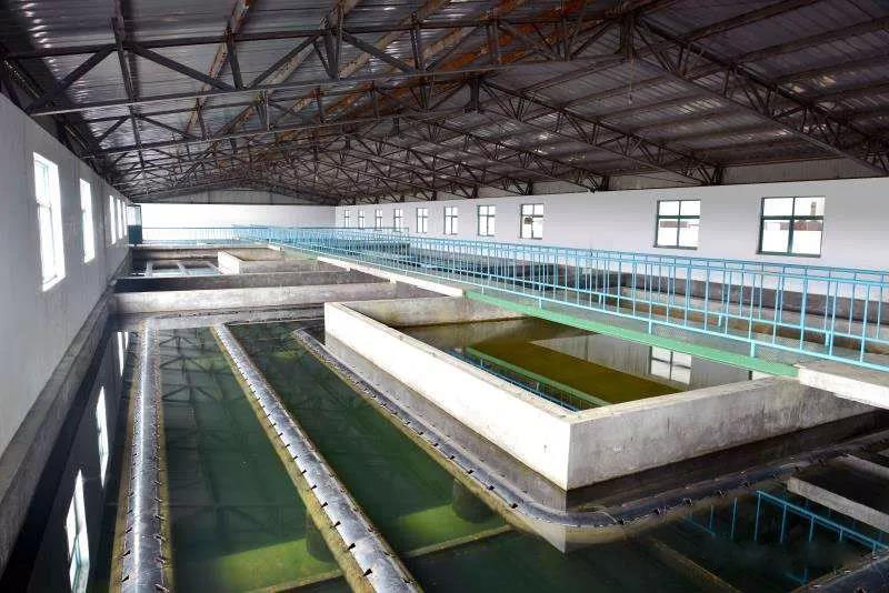 什么是制糖廢水？制糖廢水處理技術