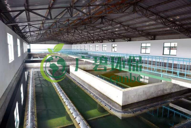 什么是制糖廢水？制糖廢水處理技術(shù)(圖1)