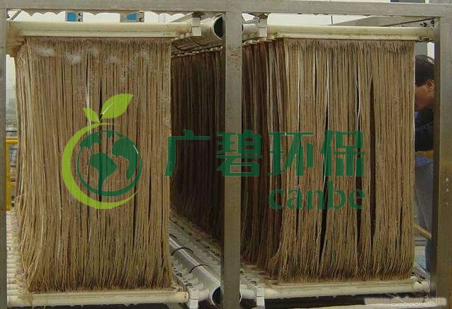 MBR污泥膨脹怎么處理？污泥膨脹的處理方法(圖1)