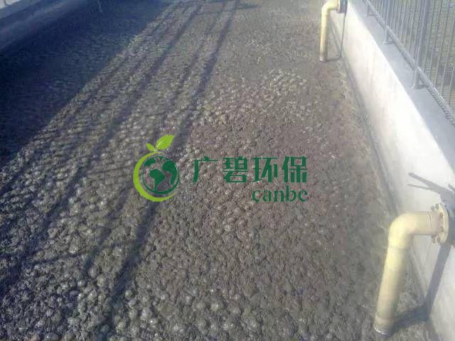 污泥發(fā)黑是什么原因造成？污泥發(fā)黑經(jīng)驗分享(圖1)