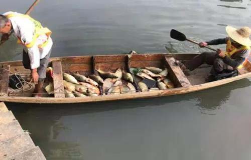 廣州旺旺食品廢水直排，永和河大量魚類死亡