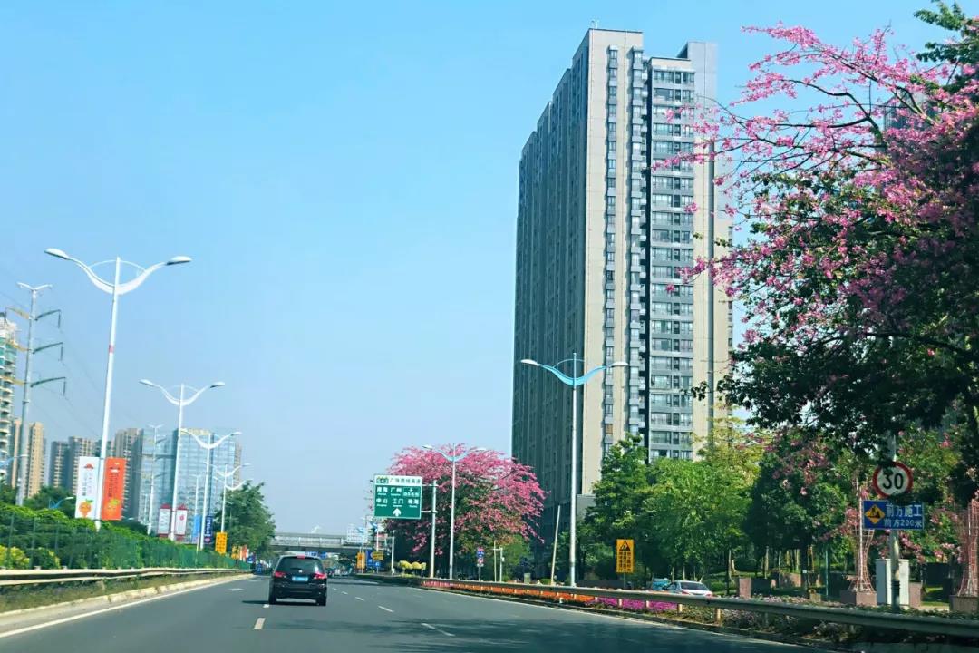 環(huán)境部印發(fā)《規(guī)劃環(huán)評技術(shù)導(dǎo)則 總綱》，項(xiàng)目環(huán)評部分章節(jié)可簡化