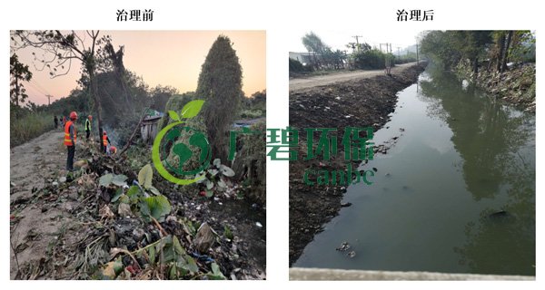 廣碧環(huán)保金陡涌河涌黑臭水體 治理服務項目順利通過驗收(圖2)