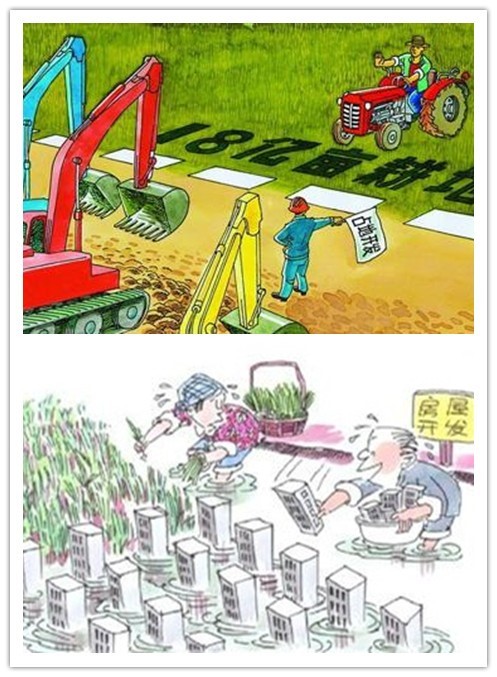 土壤侵蝕是什么？什么導(dǎo)致了土壤侵蝕？(圖3)