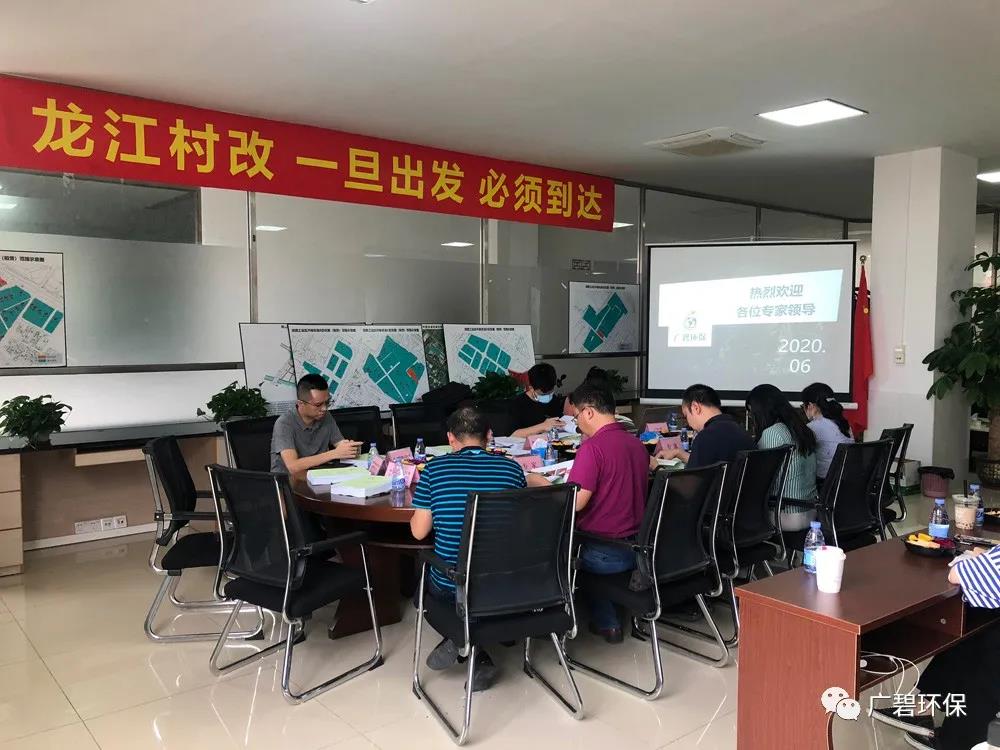 廣碧環(huán)保《龍江鎮(zhèn)坦西工業(yè)區(qū)地塊土壤污染狀況調(diào)查報(bào)告》通過評審