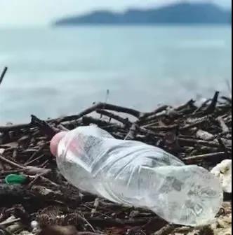 世界地球日|珍愛(ài)地球，人與自然和諧共生(圖8)