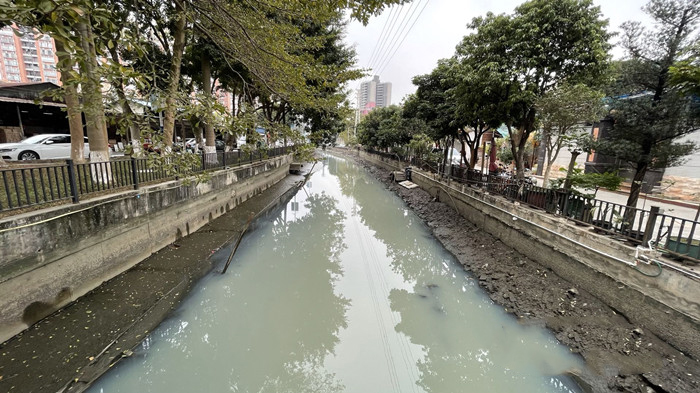 順德大良石洛涌、八坊涌整治見(jiàn)成效(圖3)